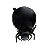 Tullumbace Halloween